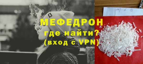 индика Новодвинск