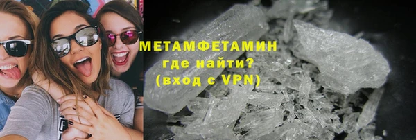 индика Новодвинск