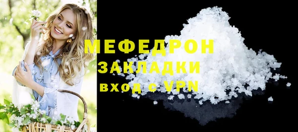 индика Новодвинск