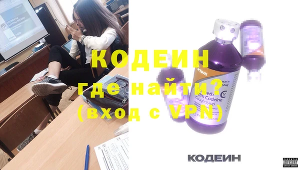 индика Новодвинск