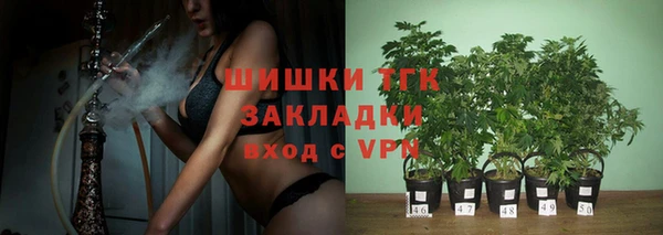 индика Новодвинск