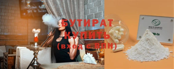 индика Новодвинск