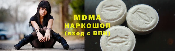 индика Новодвинск