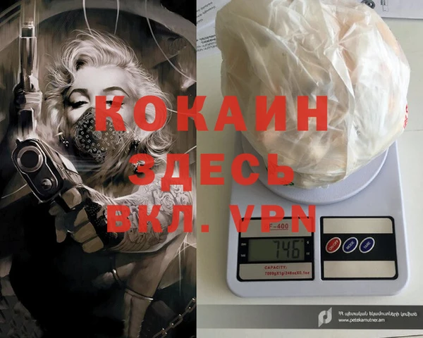 индика Новодвинск