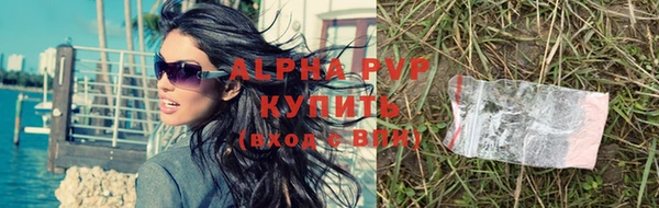 индика Новодвинск