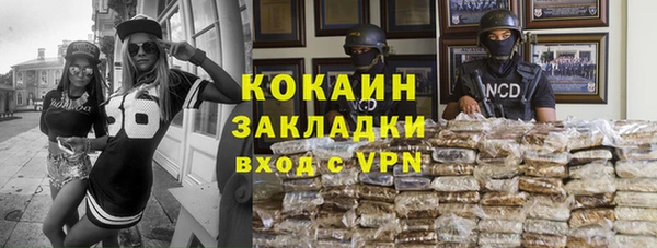 индика Новодвинск