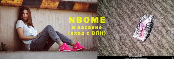 индика Новодвинск