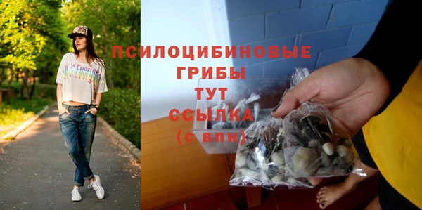 индика Новодвинск