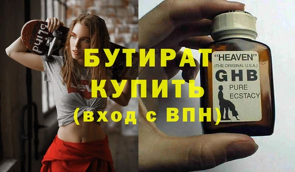 индика Новодвинск