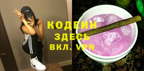индика Новодвинск
