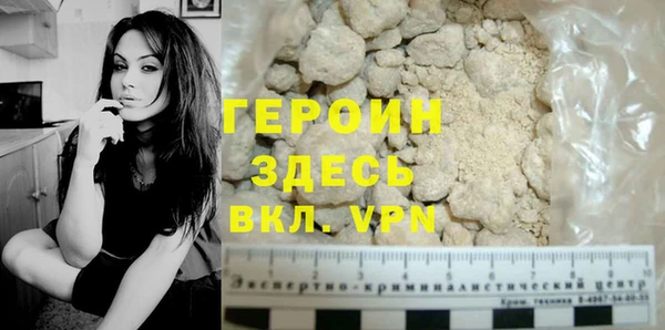 индика Новодвинск